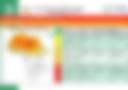 Meningitis Vigilance Outlook