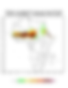 Heat and Thermal Stress — 2023-05-29