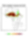 Heat and Thermal Stress — 2024-05-24