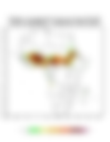 Heat and Thermal Stress — 2025-04-22
