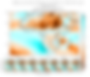 Weekly and Daily Meridional Winds (925 hPa)