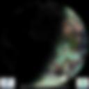 Day/Night Cloud Microphysics RGB