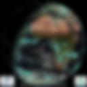 Day/Night Cloud Microphysics RGB