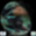Day/Night Cloud Microphysics RGB
