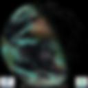Day/Night Cloud Microphysics RGB