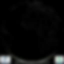 Day/Night Cloud Microphysics RGB