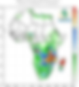 Monthly Climate Diagnostic Bulletin — January 2022