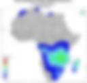 Probability of Exceeding 25 mm — Forecast Day 1