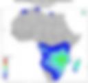 Probability of Exceeding 25 mm — Forecast Day 1