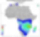 Probability of Exceeding 25 mm — Forecast Day 1