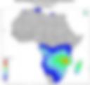 Probability of Exceeding 25 mm — Forecast Day 1