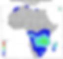 Probability of Exceeding 25 mm — Forecast Day 2
