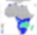 Probability of Exceeding 25 mm — Forecast Day 2