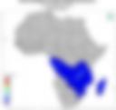 Probability of Exceeding 50 mm — Forecast Day 1