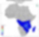 Probability of Exceeding 50 mm — Forecast Day 1