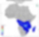 Probability of Exceeding 50 mm — Forecast Day 1