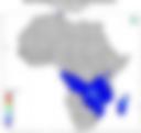 Probability of Exceeding 50 mm — Forecast Day 1