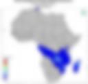 Probability of Exceeding 50 mm — Forecast Day 1