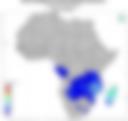 Probability of Exceeding 50 mm — Forecast Day 1