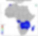 Probability of Exceeding 50 mm — Forecast Day 2