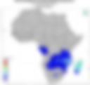 Probability of Exceeding 50 mm — Forecast Day 2