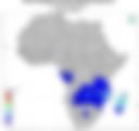 Probability of Exceeding 50 mm — Forecast Day 2