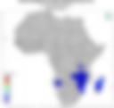 Probability of Exceeding 75 mm — Forecast Day 1