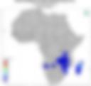 Probability of Exceeding 75 mm — Forecast Day 1