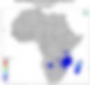 Probability of Exceeding 75 mm — Forecast Day 1
