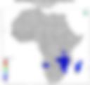 5-Day Rainfall Probability Forecast — 19 December 2021
