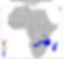 5-Day Rainfall Probability Forecast — 28 December 2021