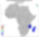 5-Day Rainfall Probability Forecast — 31 December 2021