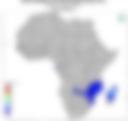 5-Day Rainfall Probability Forecast — 05 January 2022